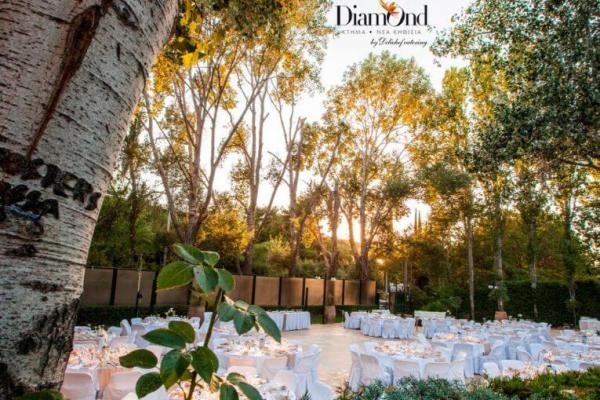 Ktima Diamond  portfolio