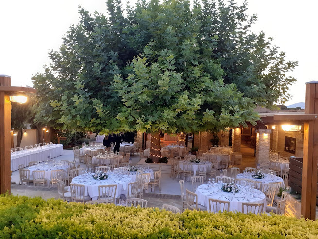 Club Polydroso  portfolio