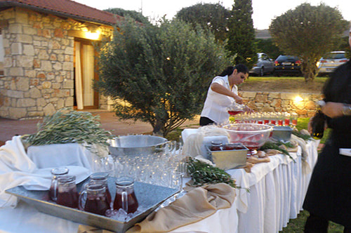 Ktima Xristidi  portfolio