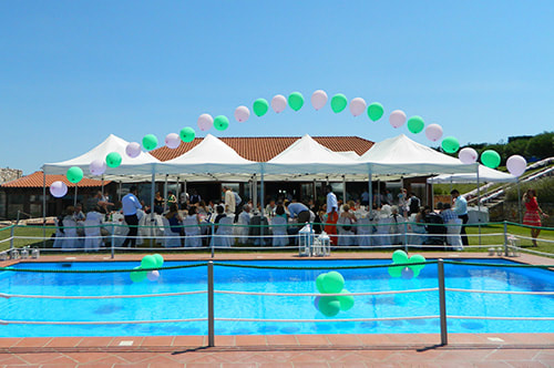 Ktima Xristidi  portfolio