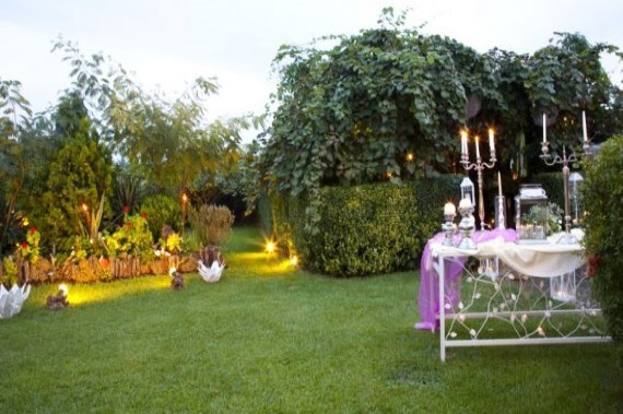 Kiwi Garden  portfolio