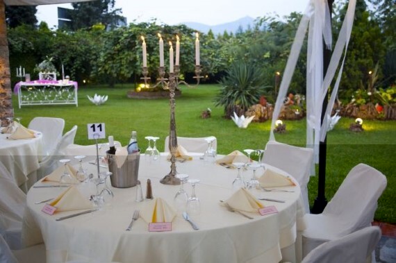 Kiwi Garden  portfolio