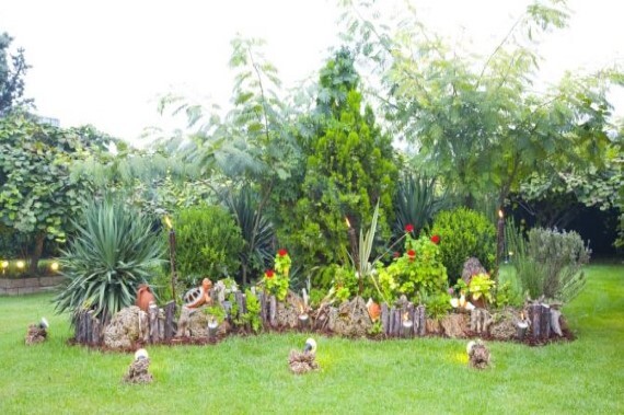 Kiwi Garden  portfolio