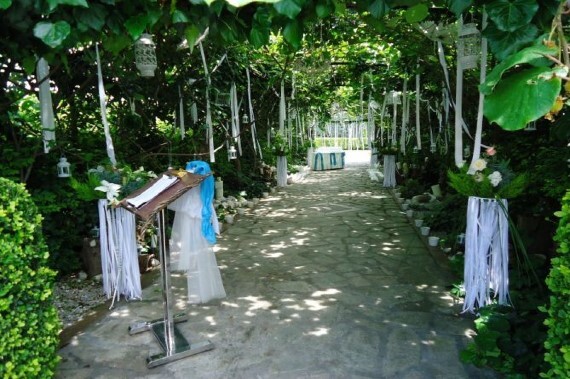 Kiwi Garden  portfolio