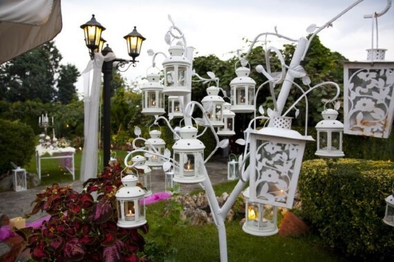 Kiwi Garden  portfolio
