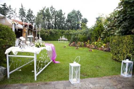 Kiwi Garden  portfolio