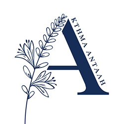 Ktima Antali   profile