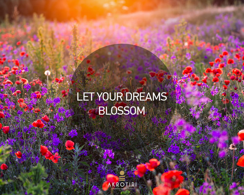 Akrotiri Olympus Luxury Suites  portfolio