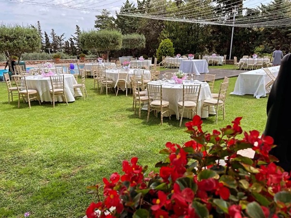 Ktima Valasia  portfolio