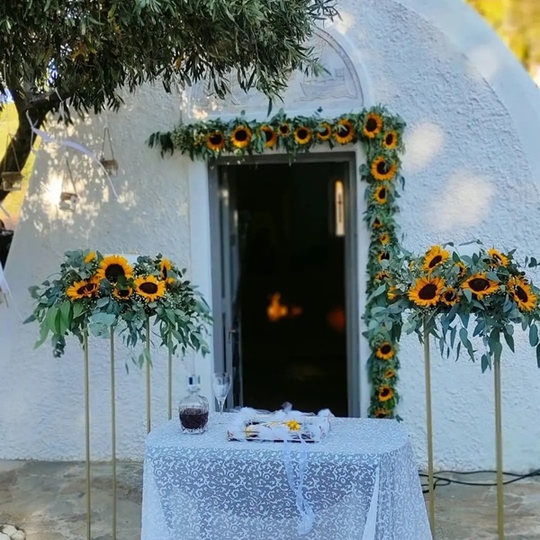 Ktima Valasia  portfolio